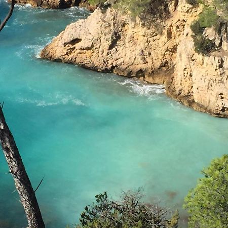 T3 Saint Cyr Sur Mer 83270 Exteriör bild