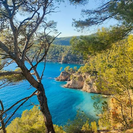 T3 Saint Cyr Sur Mer 83270 Exteriör bild