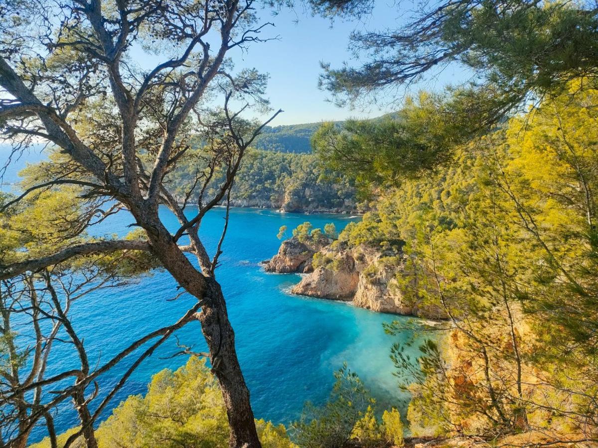 T3 Saint Cyr Sur Mer 83270 Exteriör bild